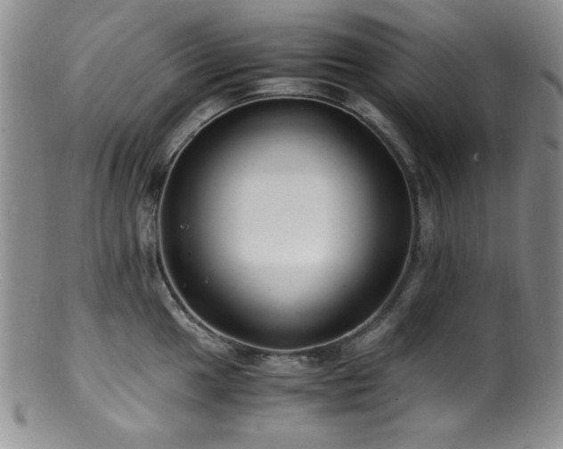 X0000100881049200806201241