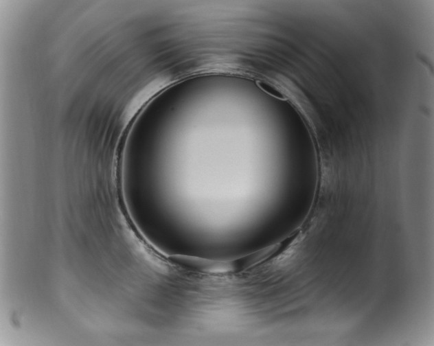 X0000100881050200806201241