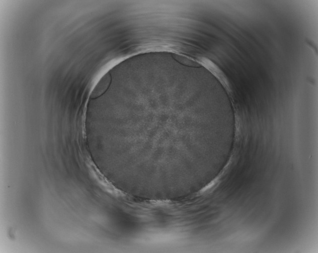X0000100881052200806201241