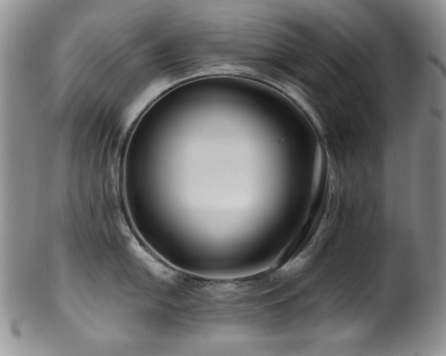X0000100881054200806201242