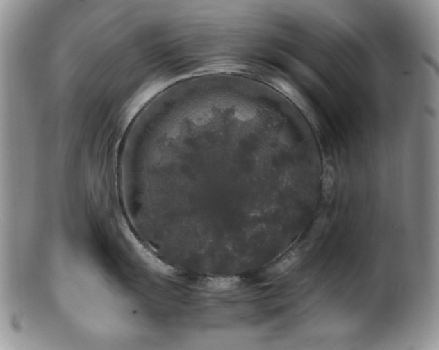 X0000100881055200806201242
