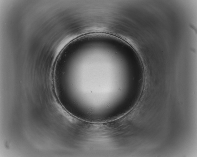 X0000100881056200806201242