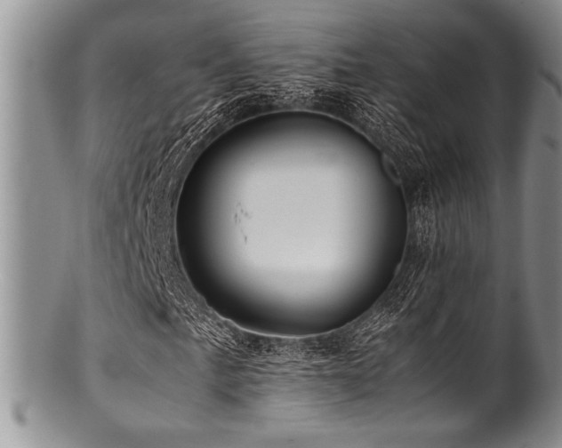 X0000100881057200806201241