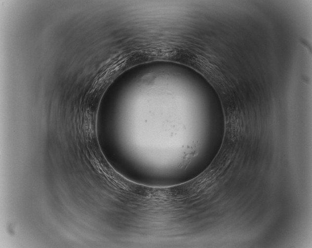 X0000100881058200806201241