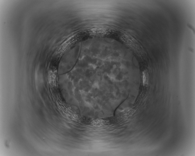 X0000100881059200806201241