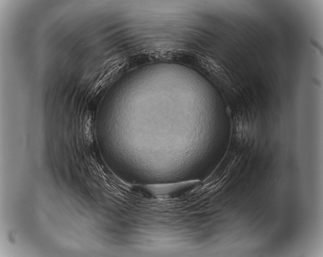 X0000100881060200806201241