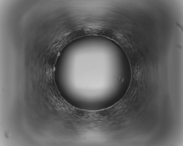 X0000100881061200806201241