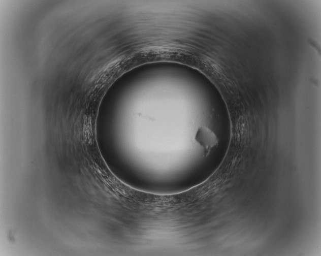 X0000100881062200806201241