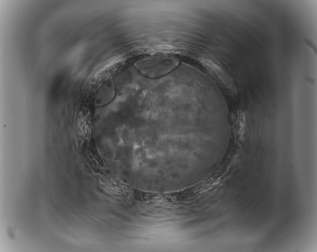 X0000100881063200806201241