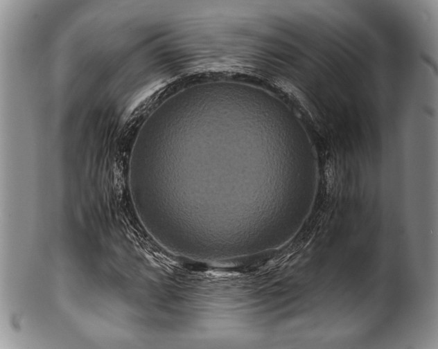 X0000100881064200806201241