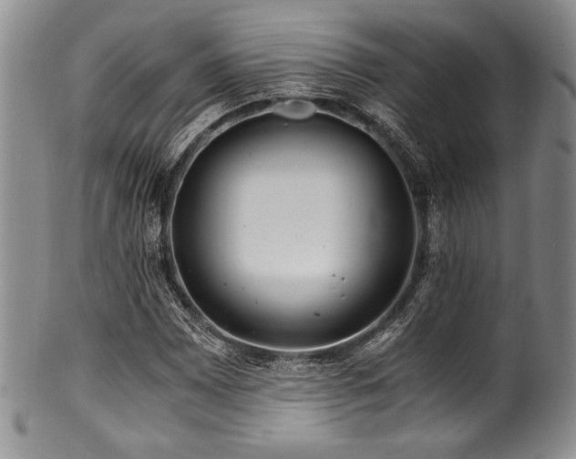 X0000100881065200806201241