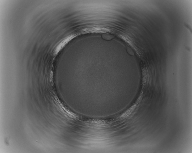 X0000100881066200806201240