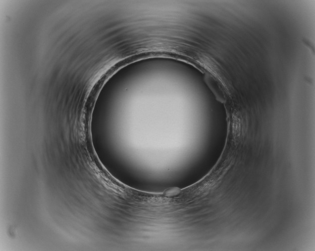 X0000100881068200806201240