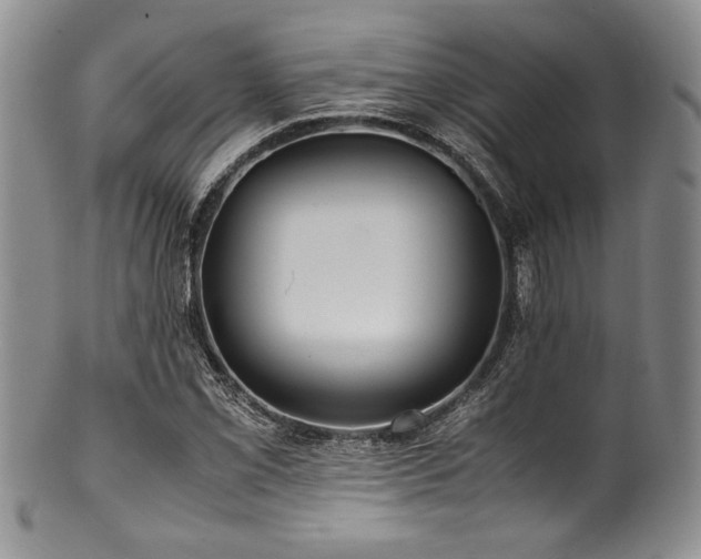 X0000100881069200806201240