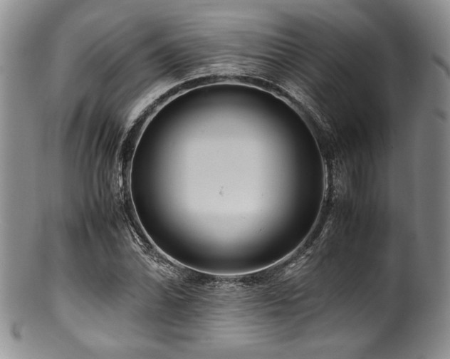 X0000100881070200806201240