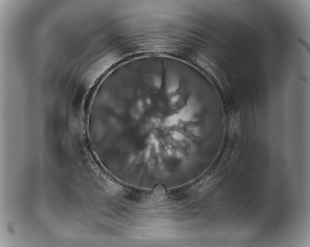 X0000100881071200806201240