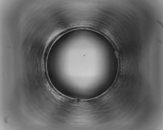 X0000100881072200806201240