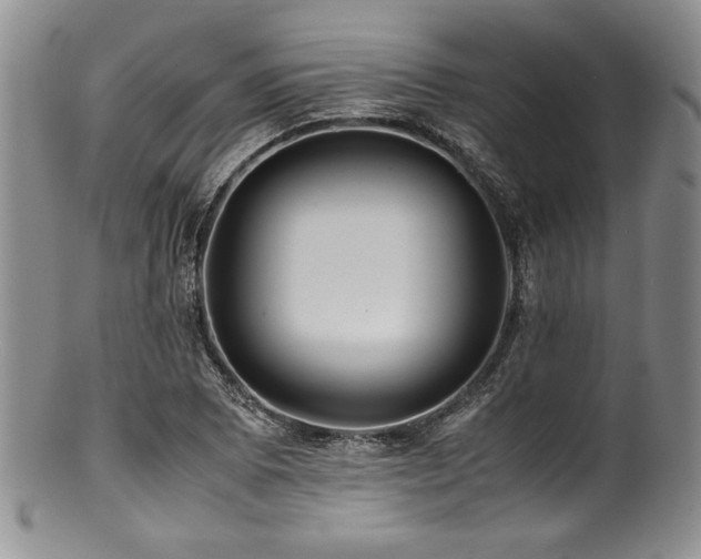 X0000100881073200806201240