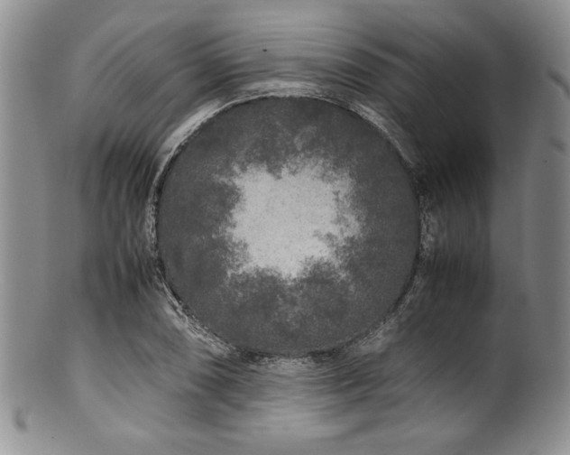 X0000100881074200806201240