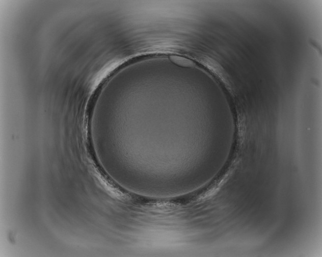 X0000100881077200806201240