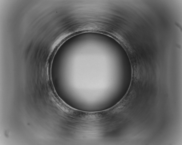 X0000100881078200806201240