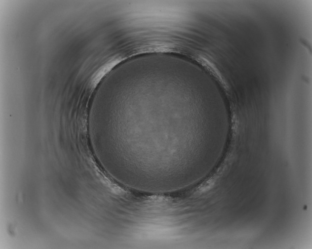 X0000100881081200806201240