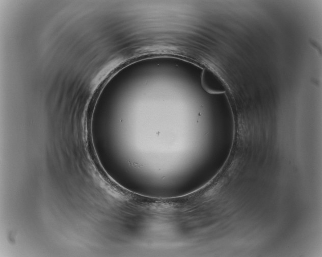 X0000100881082200806201240
