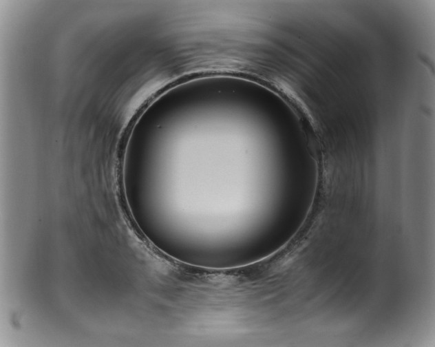 X0000100881085200806201240