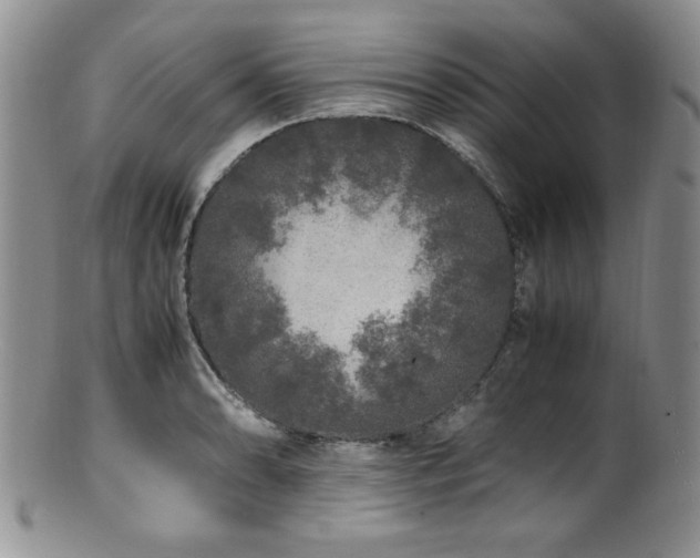 X0000100881086200806201240