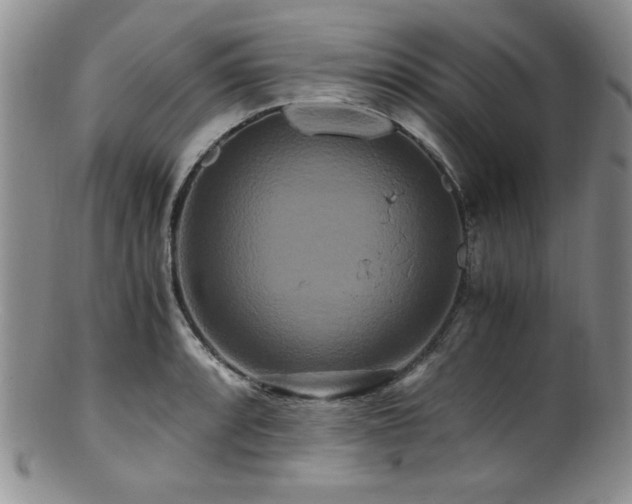 X0000100881088200806201240