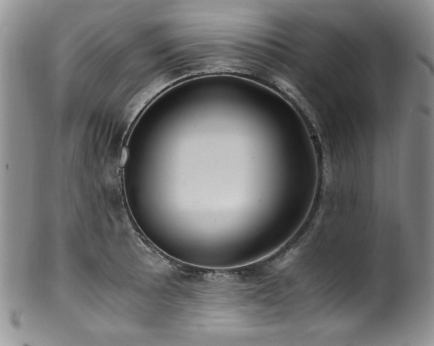 X0000100881089200806201240