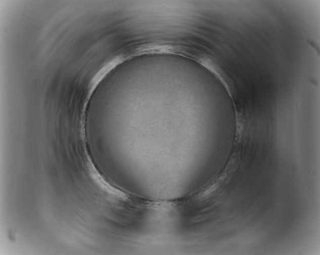 X0000100881090200806201240