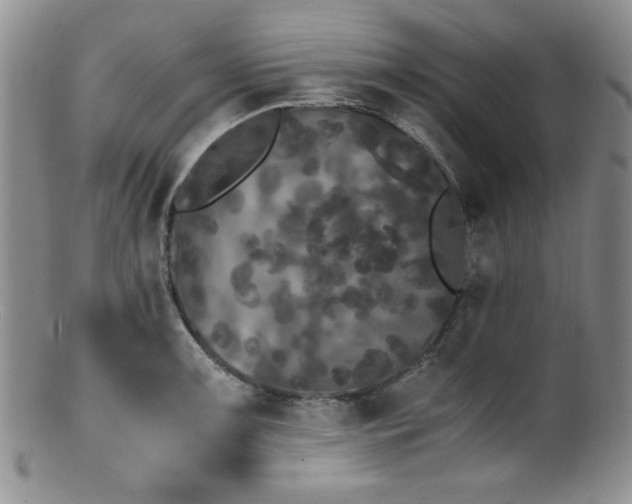 X0000100881091200806201240
