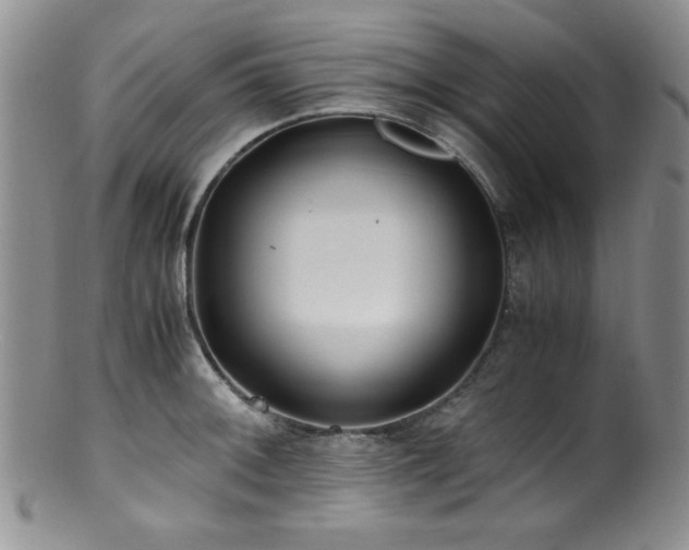 X0000100881092200806201240