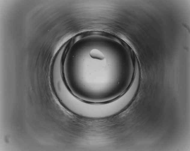 X0000100881093200806201240