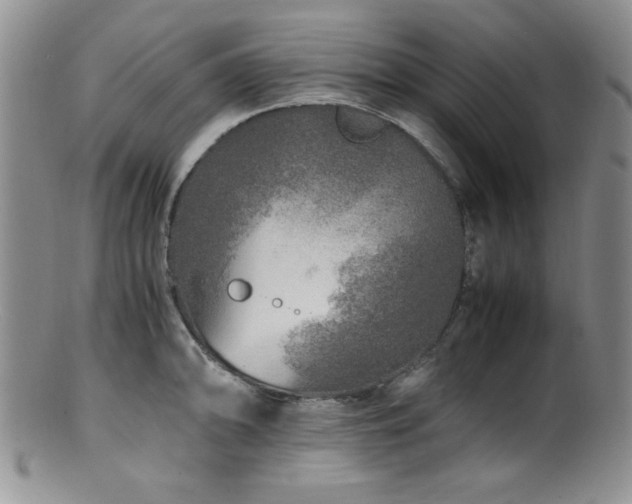 X0000100881094200806201240