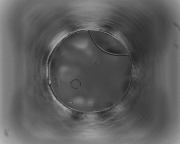 X0000100881095200806201240