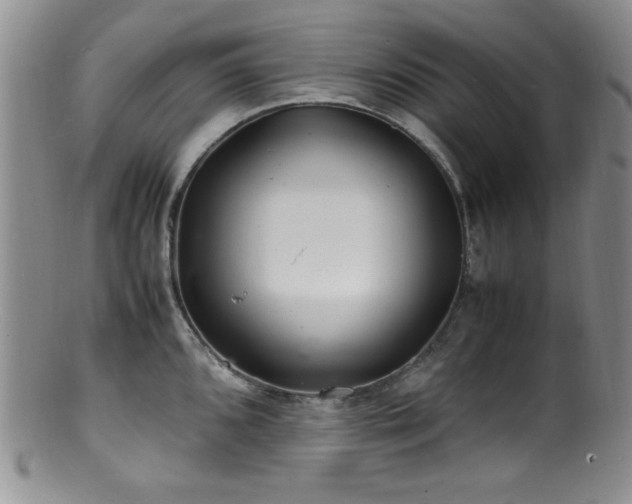 X0000100881096200806201240