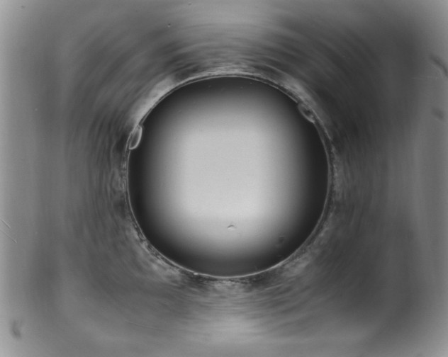 X0000100881097200806201240