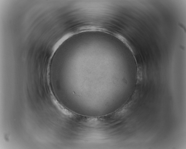 X0000100881098200806201240