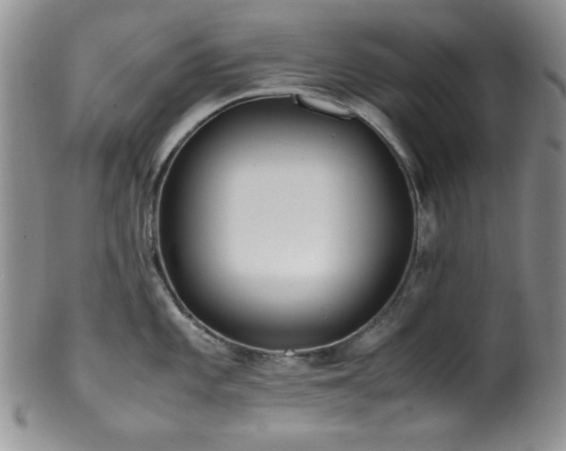 X0000100881101200806201240