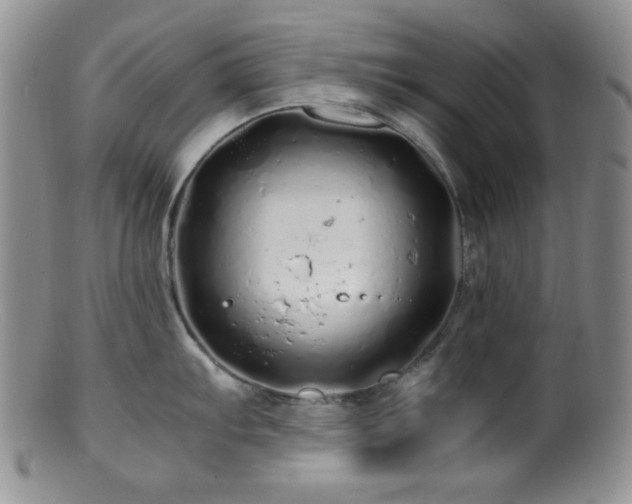 X0000100881103200806201240