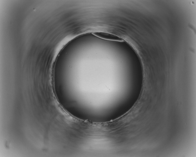 X0000100881104200806201240