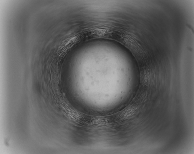 X0000100881105200806201239