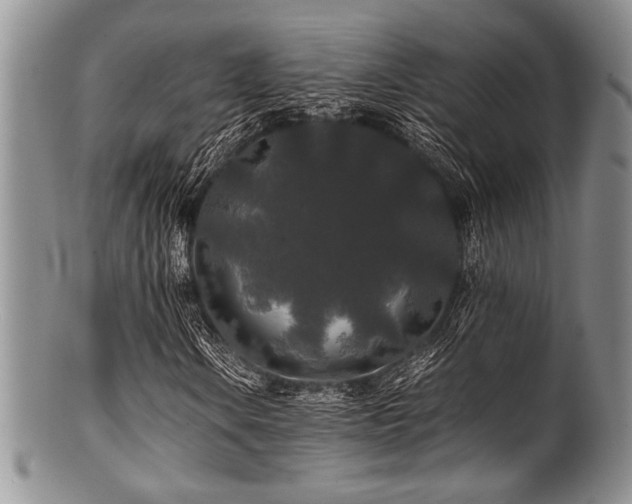 X0000100881106200806201239