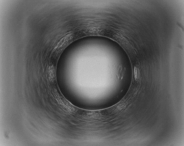 X0000100881107200806201239