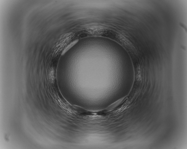 X0000100881108200806201239