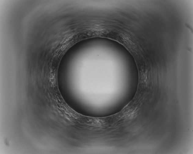 X0000100881109200806201239