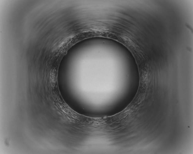 X0000100881110200806201239
