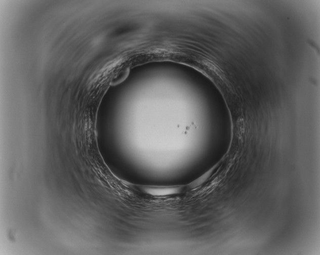 X0000100881111200806201239